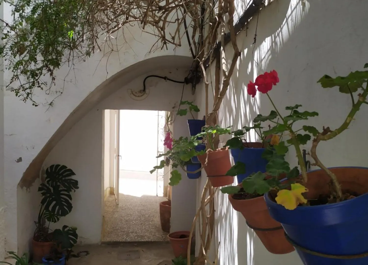Apartmán Azotea Vistas A 5M De La Playa. Recien Restaurado Conil De La Frontera